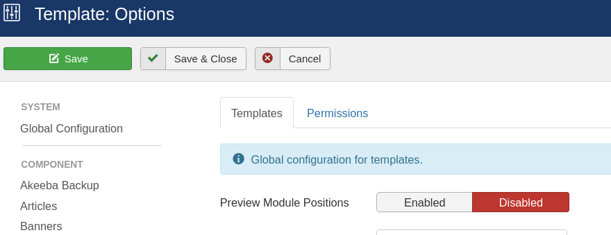 Joomla template manager-options (Preview Module Positions)